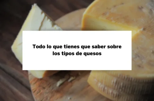 Todo lo que tienes que saber sobre los tipos de quesos