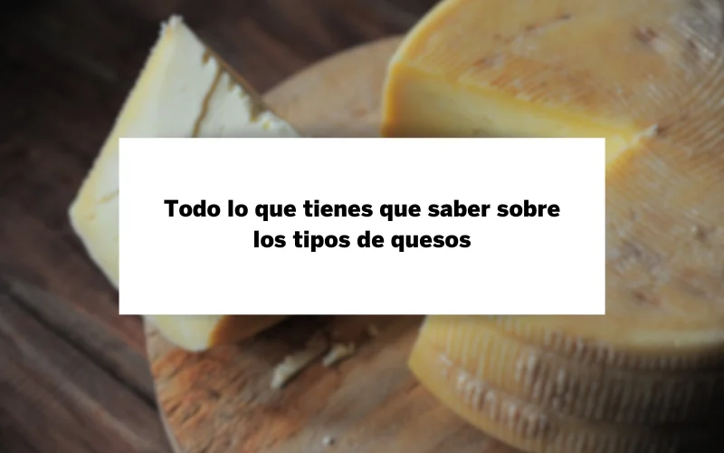 Todo lo que tienes que saber sobre los tipos de quesos